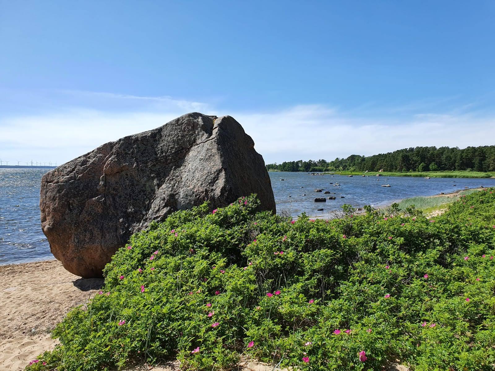 Laulasmaa ranna suurim rändrahn